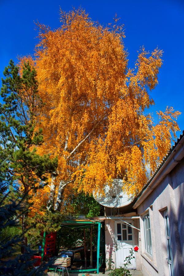 Tian-Shan Guest House Ysyk-Köl Eksteriør bilde